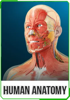 Human Anatomy VR v1.6